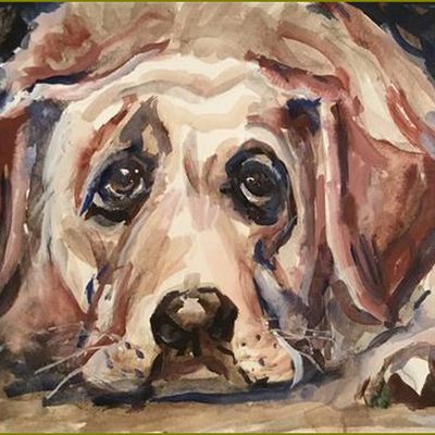 Les chiens en peinture et illustrations -    Annette Balesteri