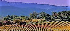 #Chardonnay Producers Napa Valley California Vineyards page 12