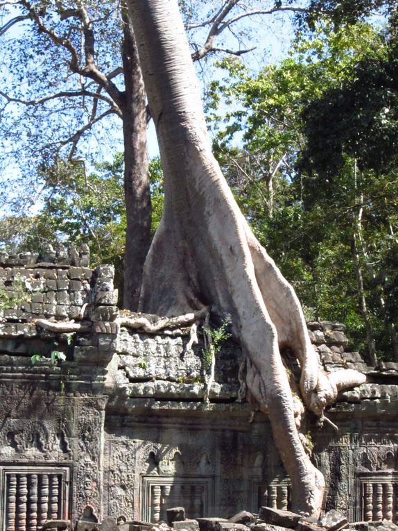 Album - KAMBODSCHA-CAMBODGE