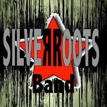 Silver Roots, du blues au rock