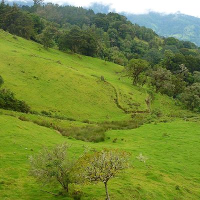 La vallée d'Orosi