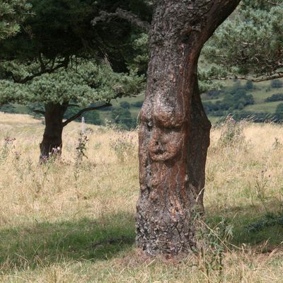 Faire son chèque d'abondance en août 2017