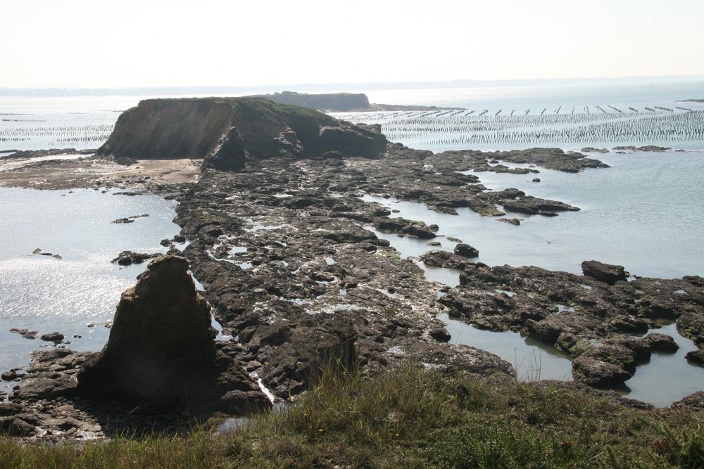 Les parcs à moules de bouchot de la Pointe du Bil