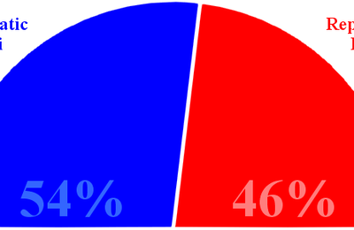 Elections législatives 2010