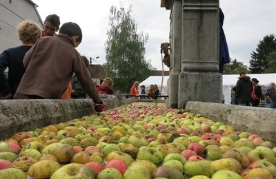 2015 - Fête des pommes