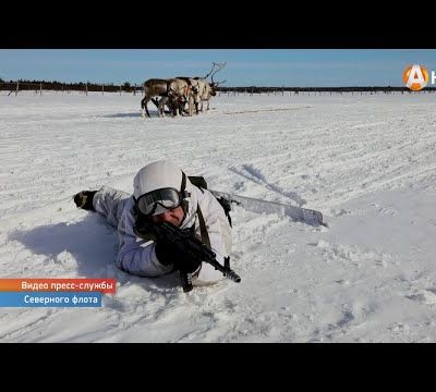 Nos amis les animaux  : L'infanterie de marine Russe et ses rennes ! 