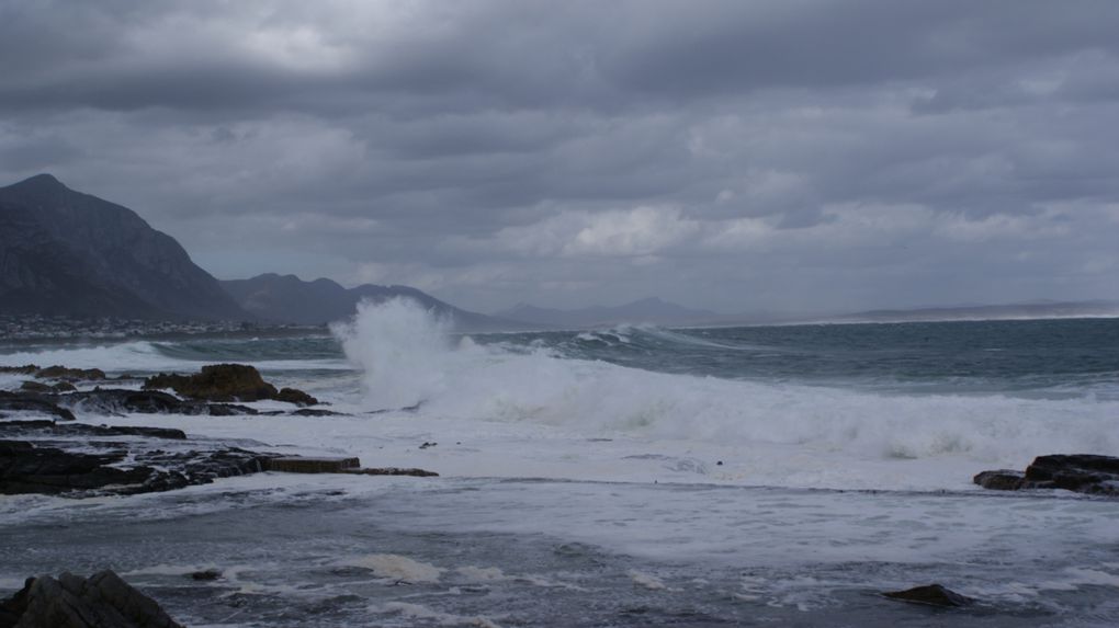 Album - La région de Cape Town