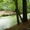 Dans le parc de Clingendael