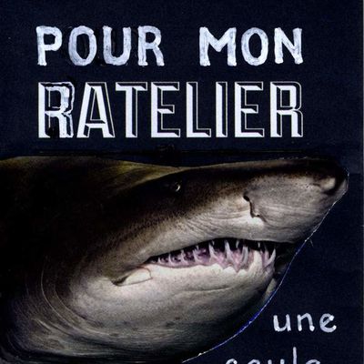 LE RATELIER DU REQUIN