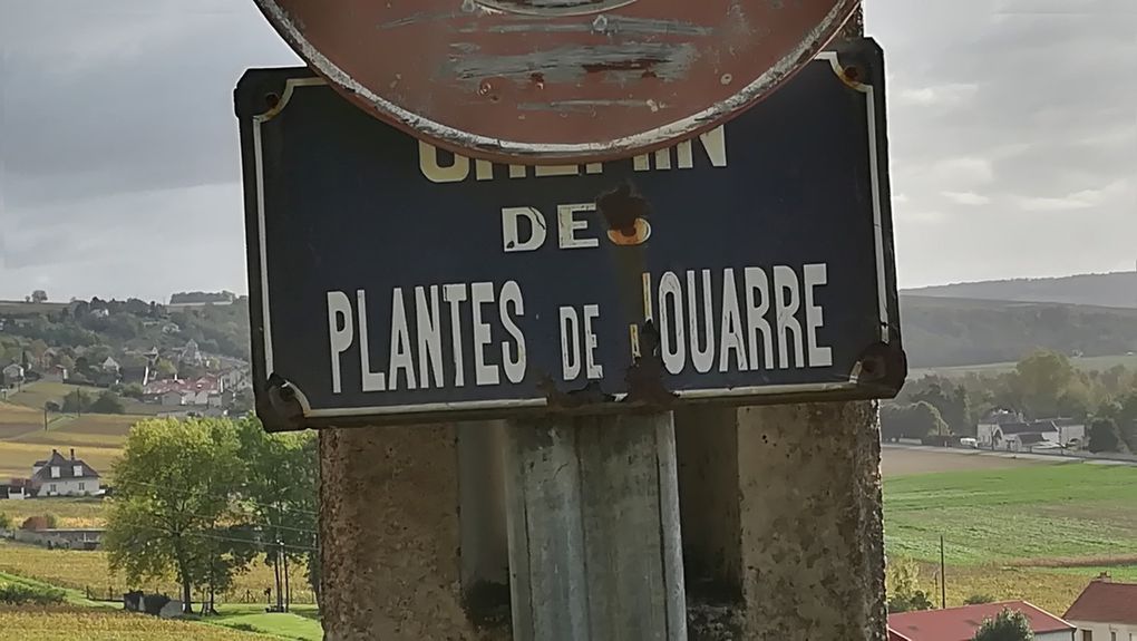 679. Dimanche 22 Octobre, les vignes du Pays Fertois.