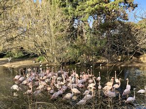 découvrir le Parc de la Tête d'Or