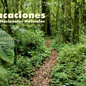 Parques Nacionales Naturales de Colombia | Somos la gente de la conservación