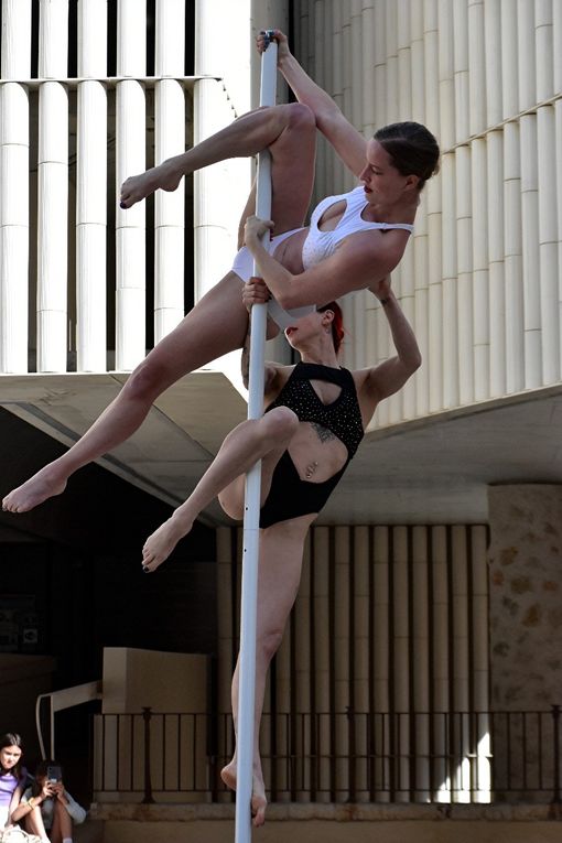 ROSE ’N POLE A GRASSE (2)