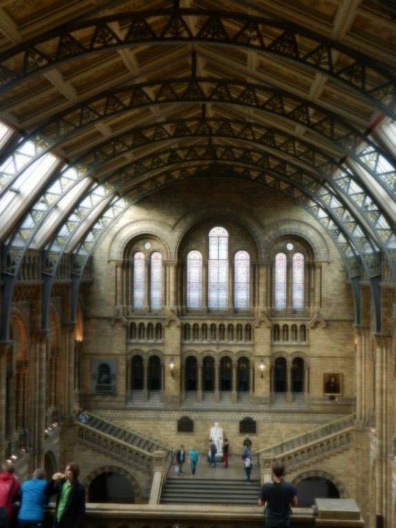 Album - Natural History Museum 2013