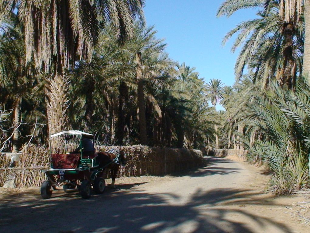 Circuit 4x4 "la Saharienne" (Décembre 2013) dans le sud Tunisien.