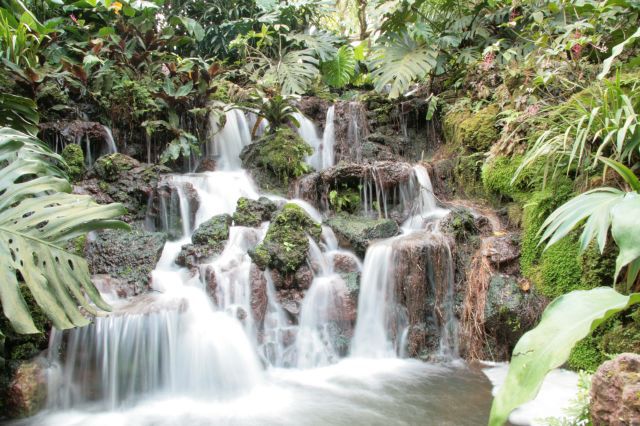 Un portrait assez fidèle des choses que nous avons vus.

À peu près dans l'ordre:
1. Zoo de Singapour
2. Jardin botanique
3. Vues de la villes et autres activités