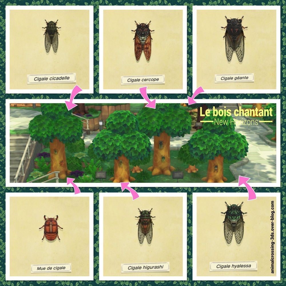 Mue De Cigale Animal Crossing New Horizon Les insectes (New Horizons) : - Animal Crossing New Leaf