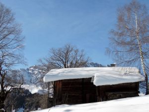 Chalets aux Chappets,  vue sur la Croix Quartier et la Chaîne du Mont Charvin, aigle royal