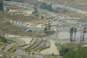 Yunnan (16) ... Les rizières de Yuanyang comme si vous y étiez (2)