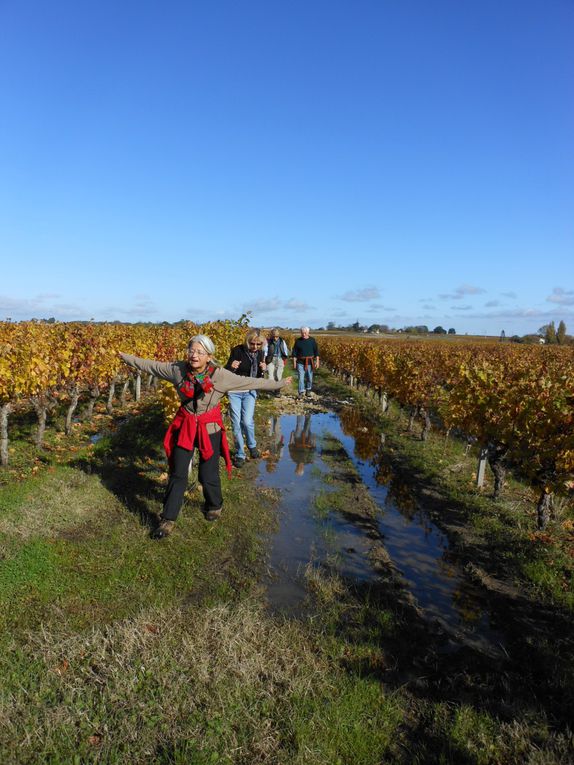 Fête du vin au"Clos de Grange Vieille"