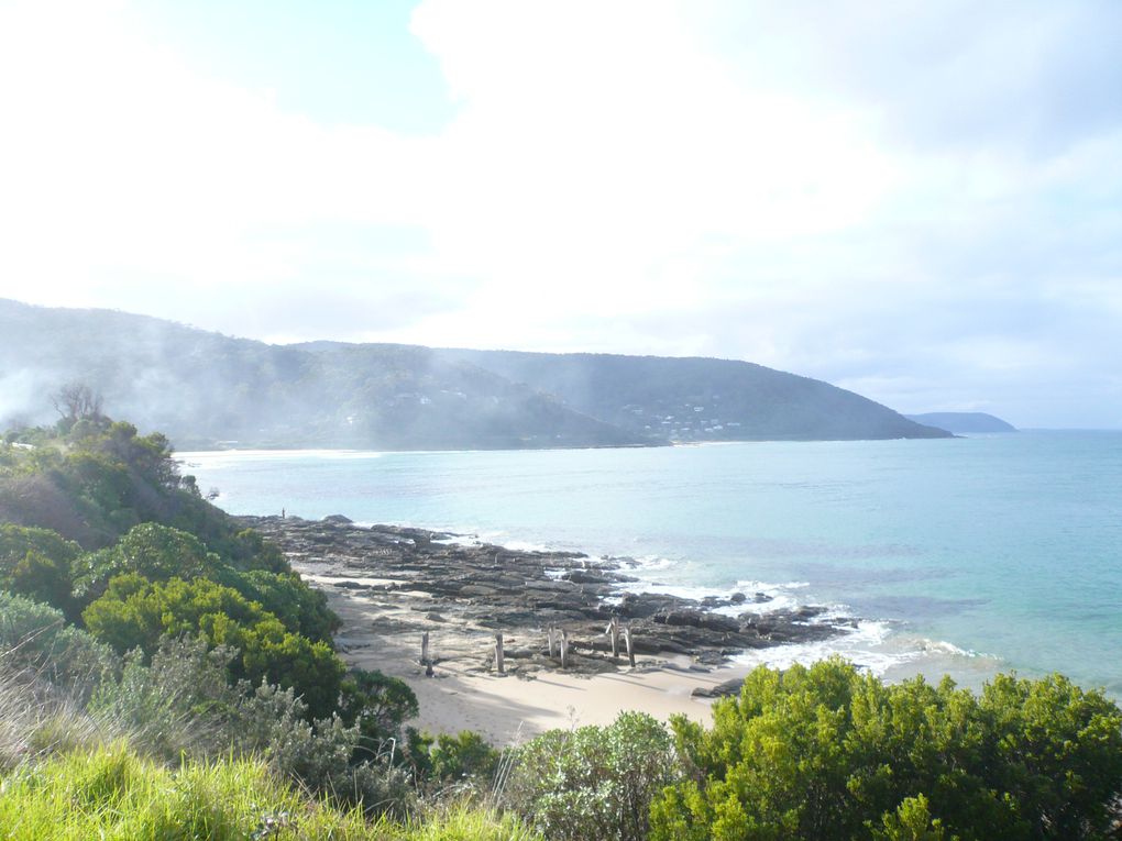 Album - Great-Ocean-Road