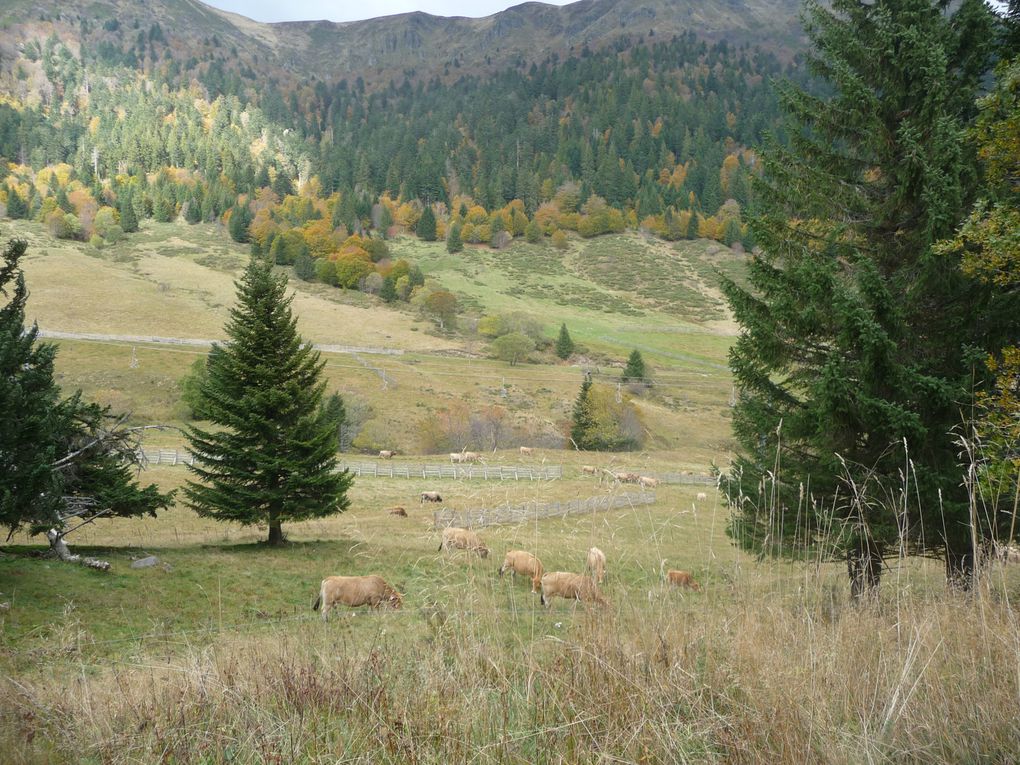 Album - cantal-automne