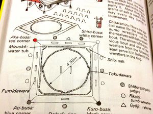 Le Stadium Ryogoku Kokugikan de Tokyo et le dohyō, constamment arrosé et balayé, autour duquel on retrouve le sel, l'eau, les juges 