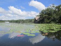 Guatemala: Rio Dulce suite