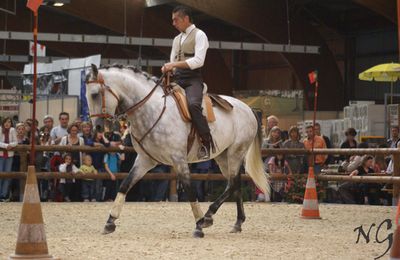 Salon de Laroche sur Foron (74)