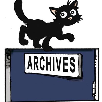 Le chat dans les archives, petite BD