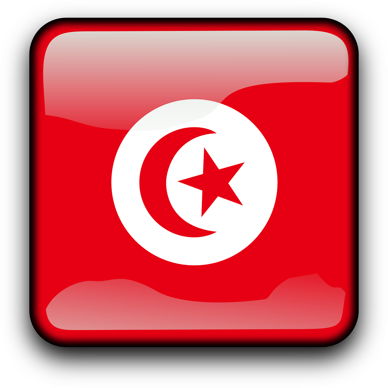 La balance commerciale de la Tunisie