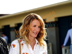 L'actrice Laura Dern sur les Planches.