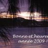 BONNE ET HEUREUSE ANNEE 2009