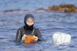 Métiers de la mer : une rencontre annuelle dédiée à la femme marocaine et africaine