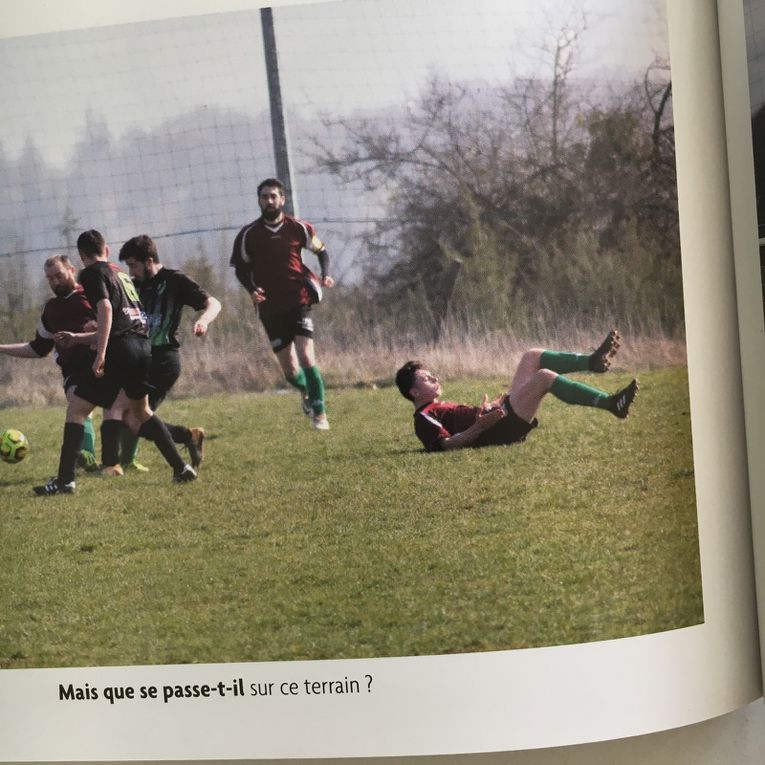 Les Verts dans un livre ...encore!