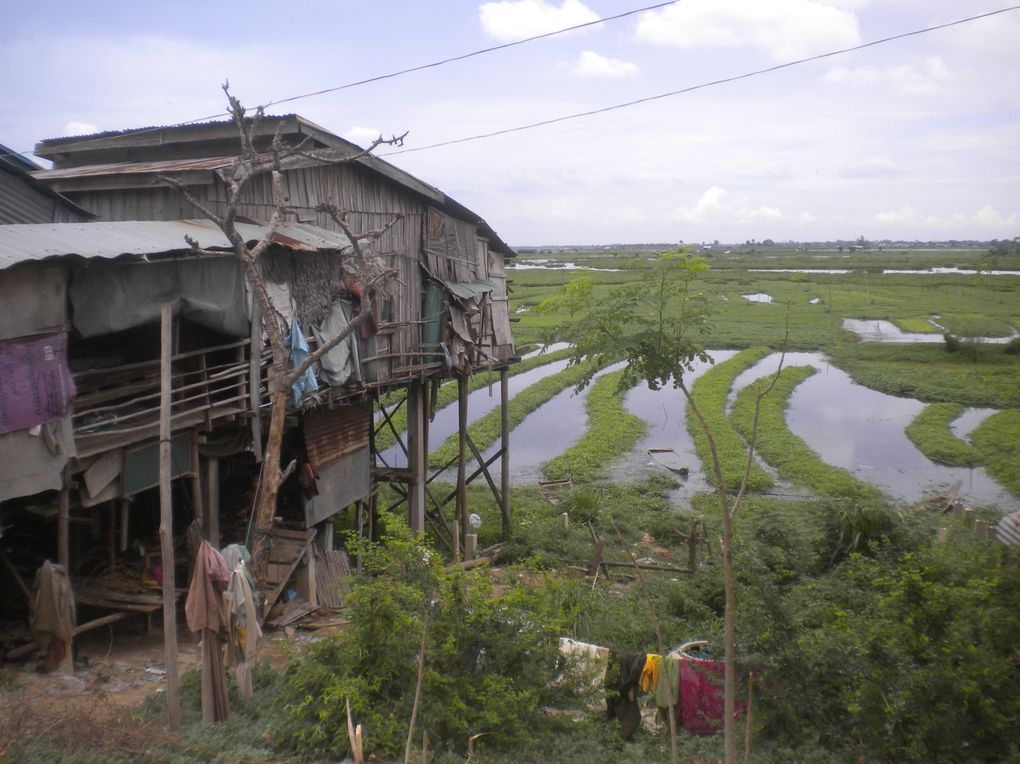 du delta du Mékong à Battambang en passant par Phnom Penh, Kep, Kampot, Takéo, Kompong Chhnang