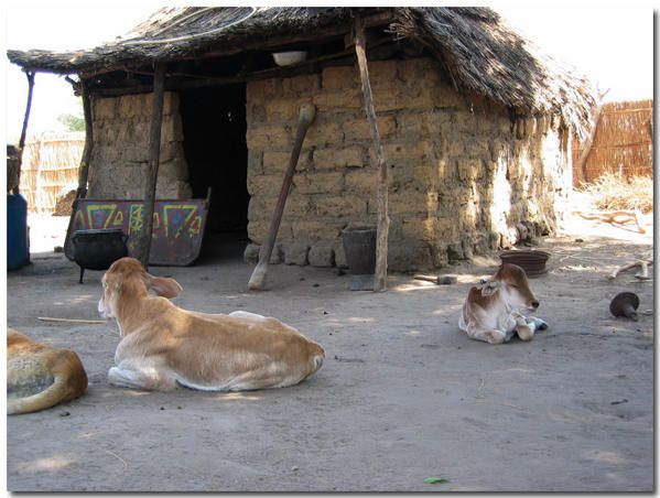 Album - le-senegal