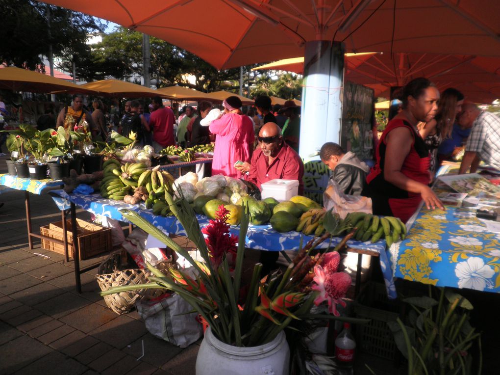 Danse pilou, Bougna, mangrove, Manou, case traditionnelle, fleurs d'Hibiscus, de Tiaré...