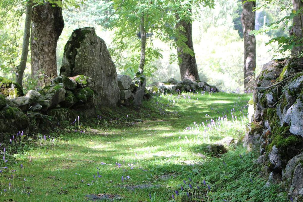 mais aussi une enseigne plutôt inattendue en terre pyrénéenne