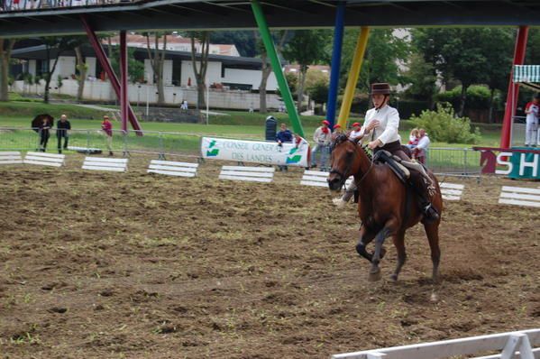 Album - Feria 2008 - La Doma Vaquera