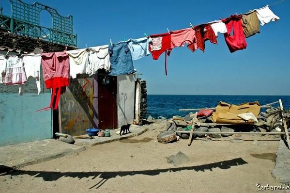 <p>Janvier 2006, s&eacute;jour au S&eacute;n&eacute;gal. Une petite s&eacute;lection marine, en passant du lac rose &agrave; la langue de Barbarie via l'&icirc;le de Groix.</p>
<p>Vous pouvez me laisser vos impressions et critiques <a href="http://www.barbarette.com/article-3888394.html" target="http://www.barbarette.com/article-3888394.html">ICI</a></p>