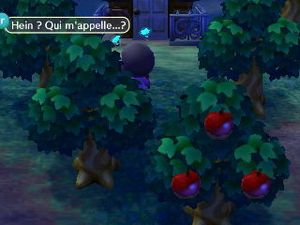 Le vingt deuxième jour :