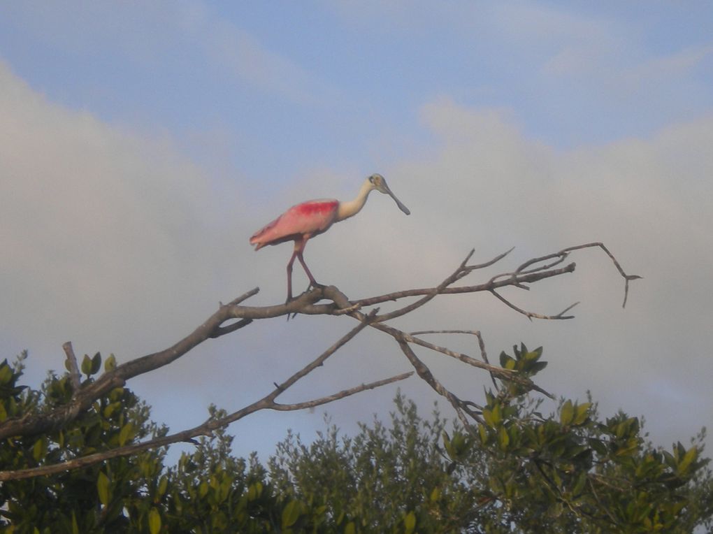 Yucatan, Campeche, Chiapas