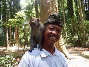 Forêt des singes de Sangeh