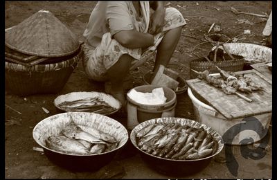 Indonesian lifestyle, Bali & Lombok 2009