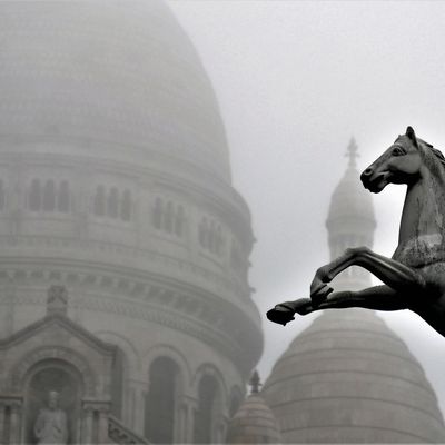 15 novembre. Le cheval du manège par un matin de brume. Square Louise Michel.