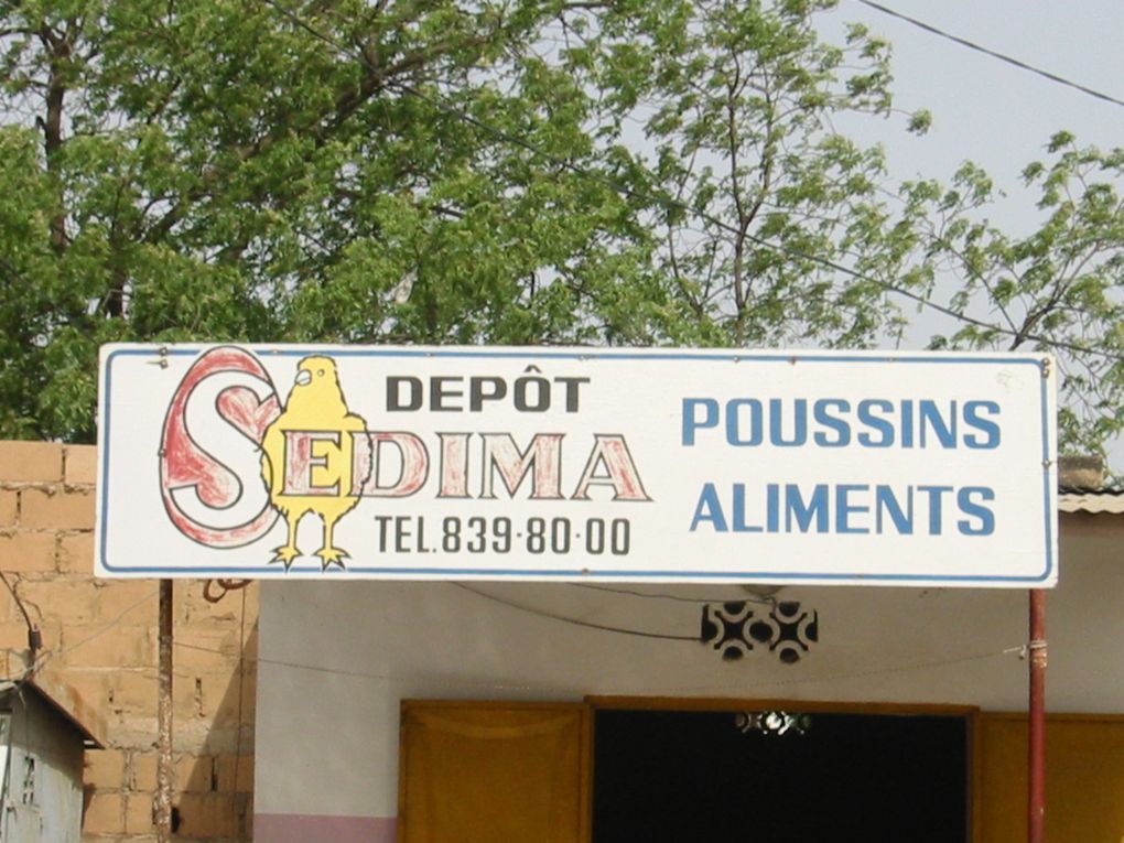 Saint Louis du Sénégal la ville et le quartier des pêcheurs