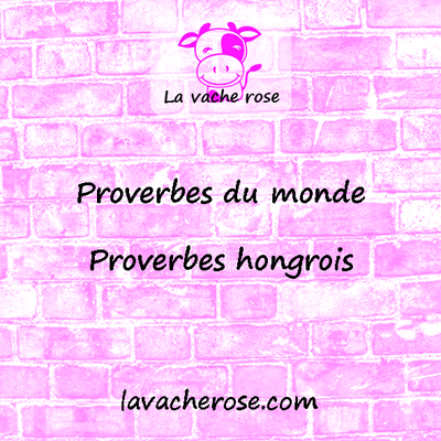 Proverbes hongrois