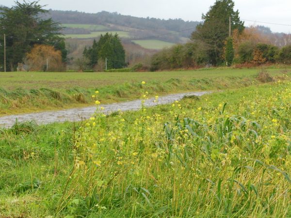 Visites de fermes dans la vallée de la Bio à Dinéault