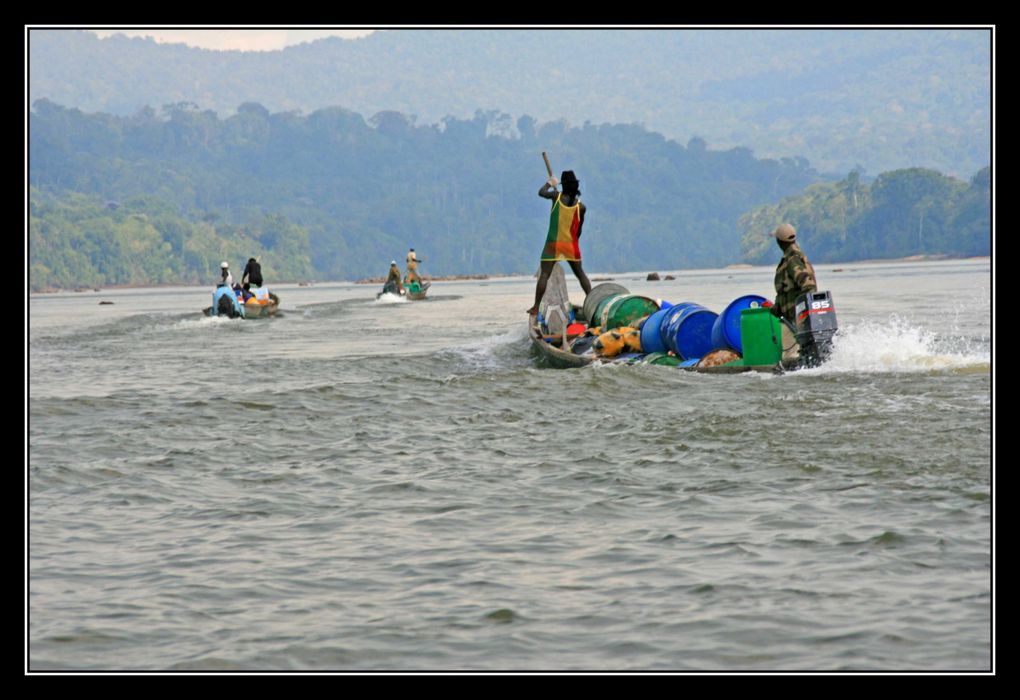 Album - Guyane4